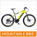 Bici elettriche MOUNTAIN E-BIKE